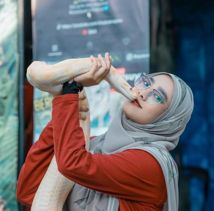 女生开设移动式动物园展出珍奇动物