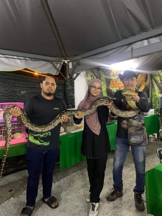 女生开设移动式动物园展出珍奇动物