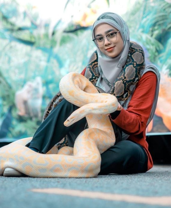 女生开设移动式动物园展出珍奇动物