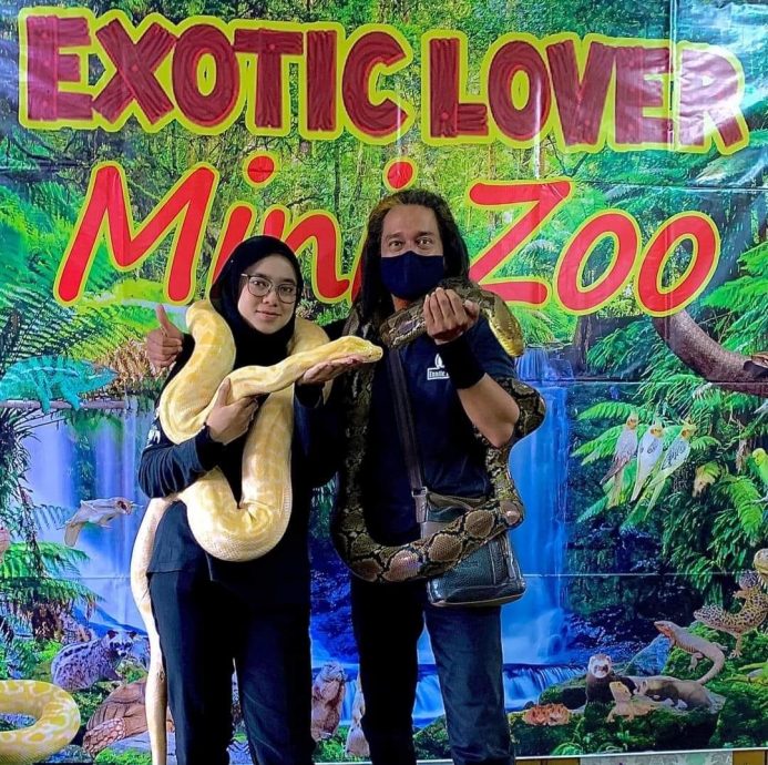 女生开设移动式动物园展出珍奇动物