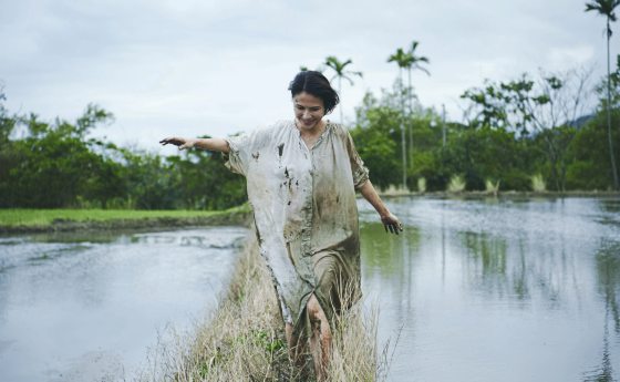 林佚／《盛开》我的名字叫李心洁
