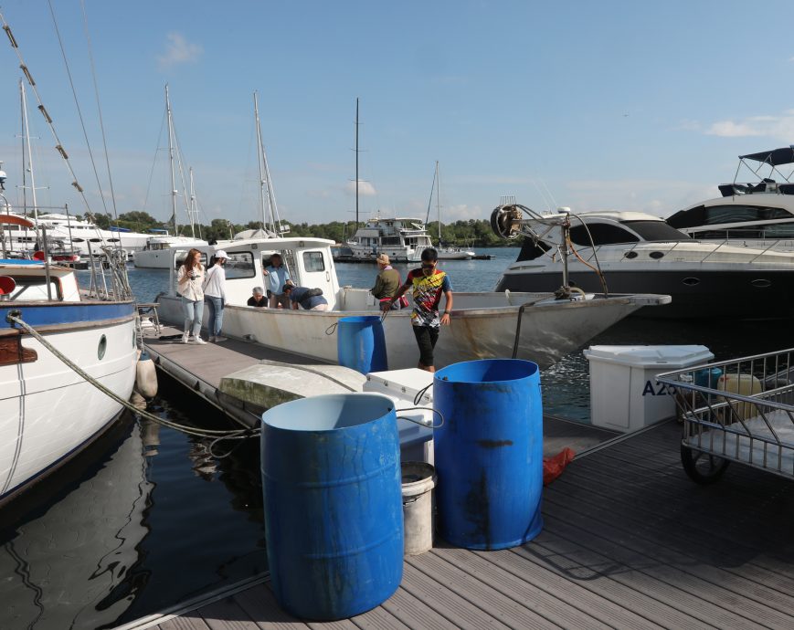 柔:封面:【野放鱼苗,续生海洋生态(下篇)】:善行获渔业局等单位认同,张秀福期盼引滚雪球效应