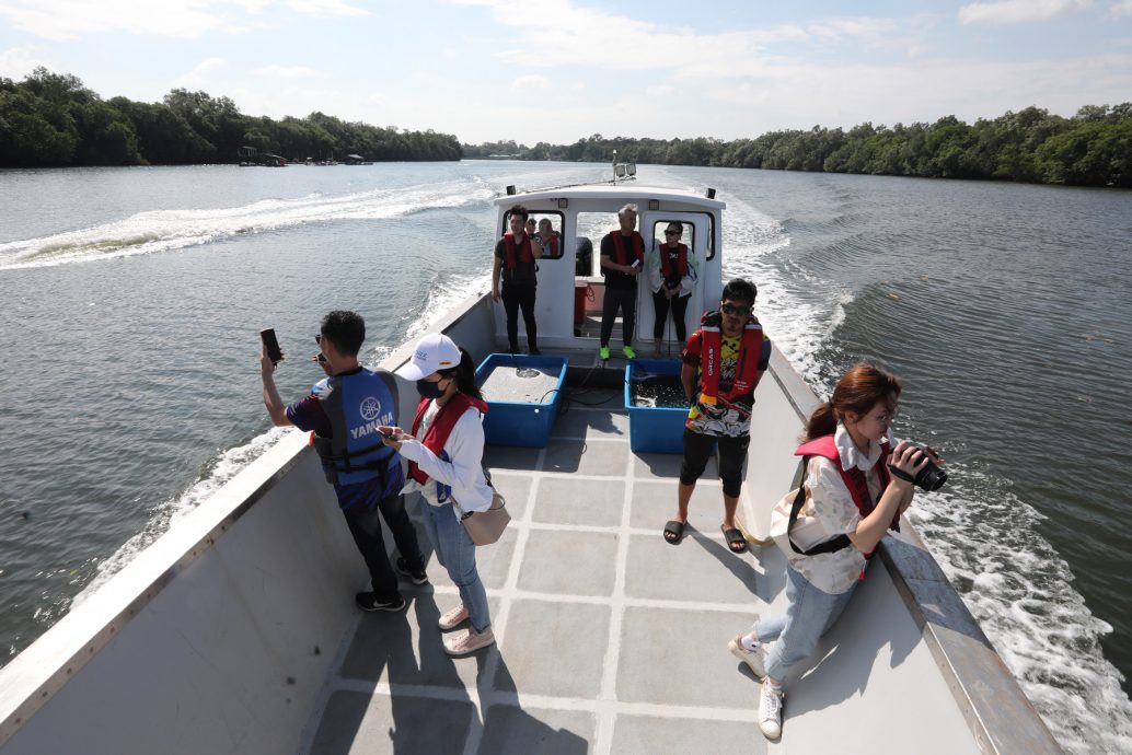 柔:封面:【野放鱼苗,续生海洋生态(下篇)】:善行获渔业局等单位认同,张秀福期盼引滚雪球效应