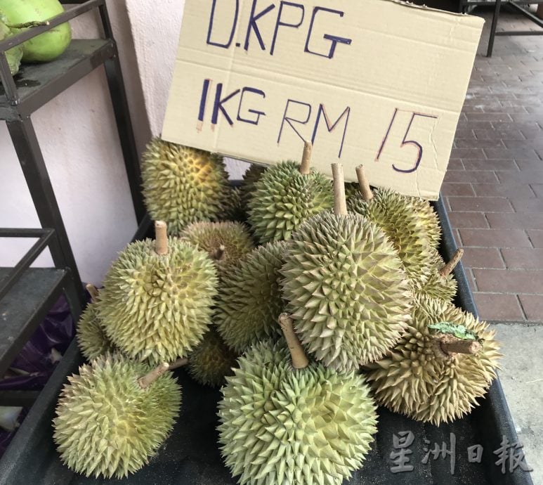 榴梿树开足3次花 未来4个月不愁吃榴梿