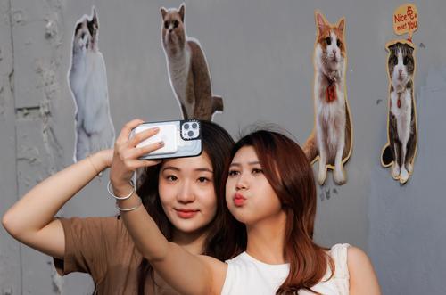 每日一展三图 上海外滩艺术季上出现“猫街”