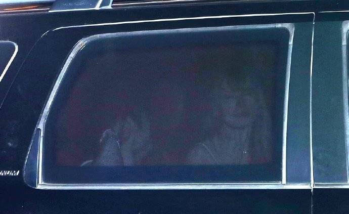 泰莱史薇芙新恋情实锤 带绯闻男友回公寓