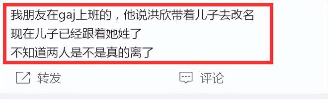 洪欣传婚离后撇清关系 带儿子张镐溓改随母姓	