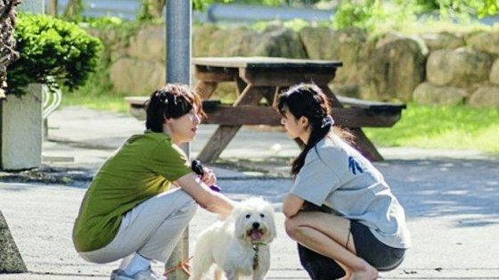 王晋恒/《夏日大罢工》无处遁逃的人生困局