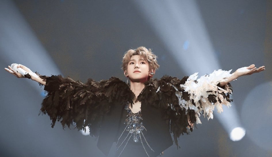  王源家乡开唱　妈妈被挡门外急求救