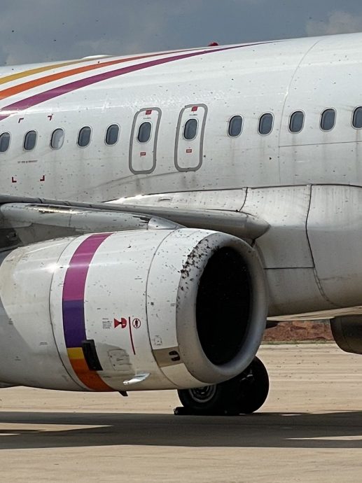 疑下雨迷失方向 岩蜂把飞机引擎当蜂巢 