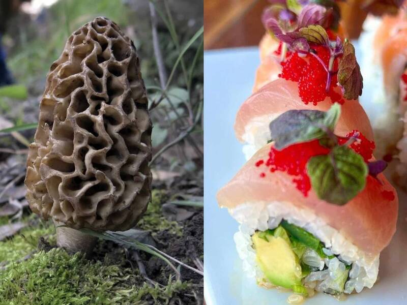 美寿司店传集体食物中毒！ 疑中国进口食材“羊肚菌菇”惹祸