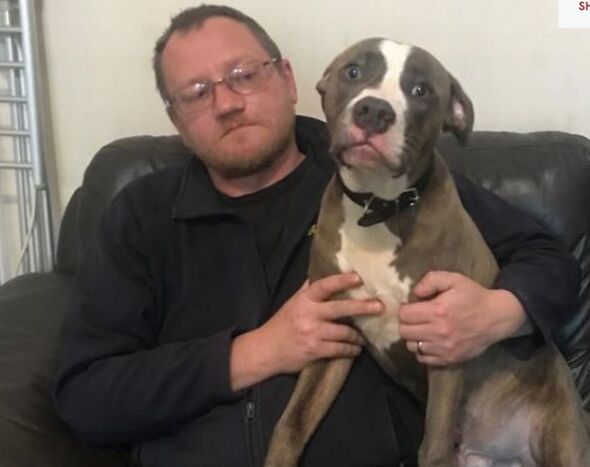 脸书上买可爱狗狗 养了2星期!6岁男童在姊面前被“撕掉头皮”