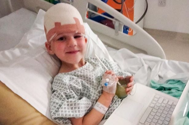 脸书上买可爱狗狗 养了2星期!6岁男童在姊面前被“撕掉头皮”