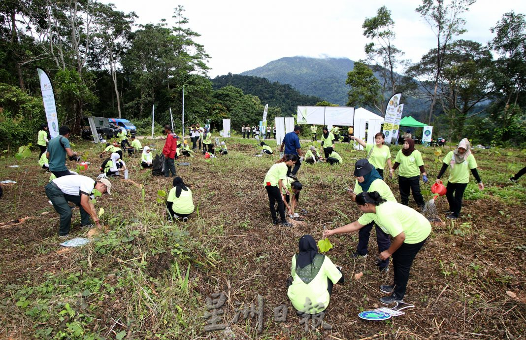 郑国霖:霹5年要种1千万棵树 每年种超过200万目标