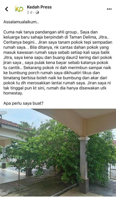 隔壁家树长到自家庭院 屋主叹：邻居说要剪先给钱 