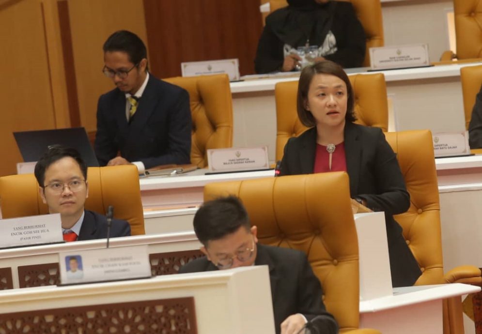 霹州议会︱黄彩仪:支持酒店法案 提议征收费用于回馈服务与旅游业
