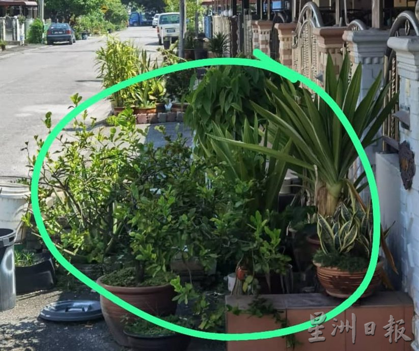 霹：封面主文／住家围篱外种植或放置花盆皆属违法