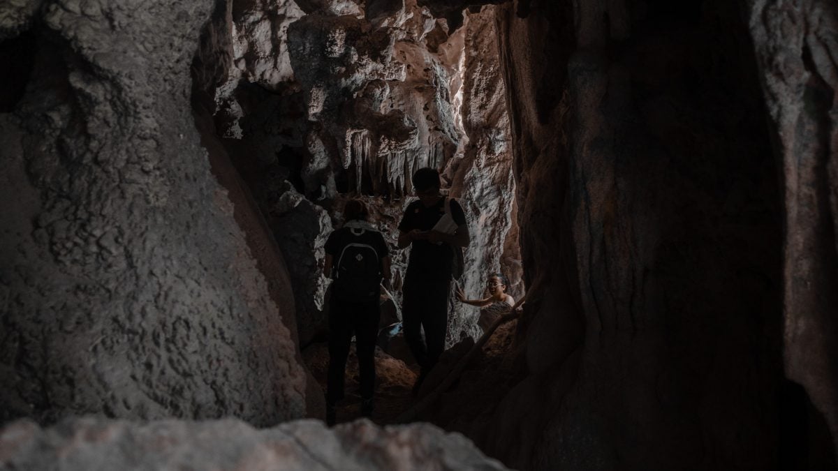 霹:版头/结合霹雳山谷金牌卡司 《鸟,飞行中》短片怡保导演执导5月尾开拍