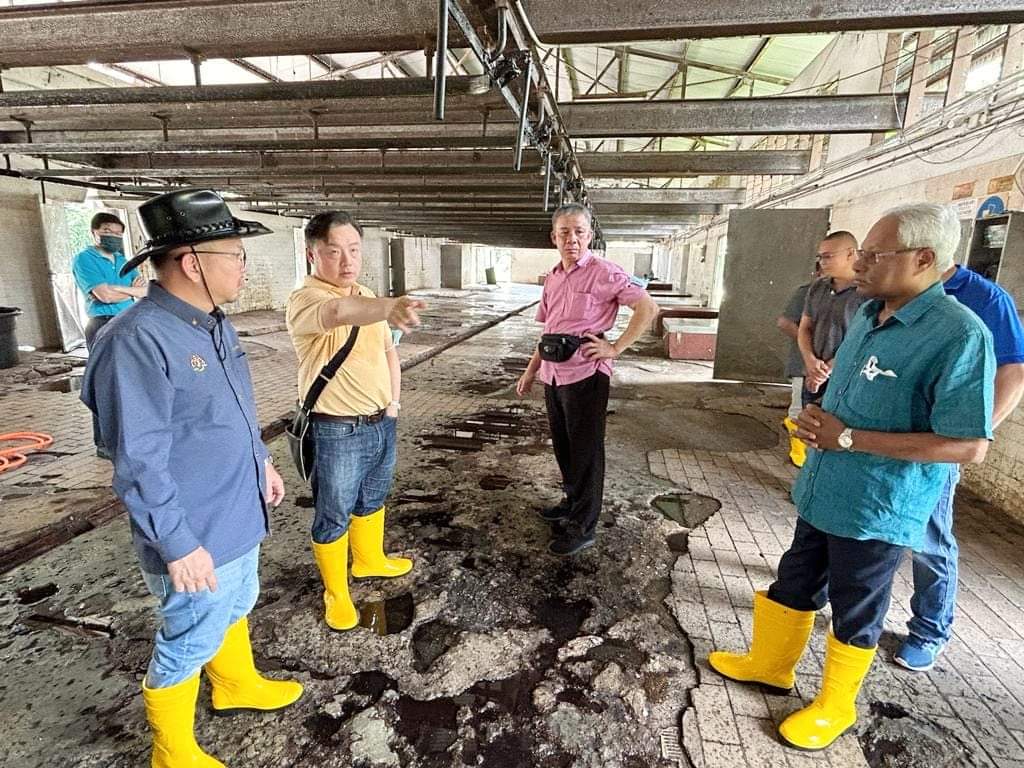 六成猪送雪宰杀 考虑再增设一座 霹政府不关华林市宰猪场