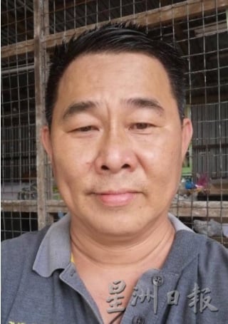 霹:第二版头/番茄丰收平靓正 长豆零售破10元 菜市买气平平