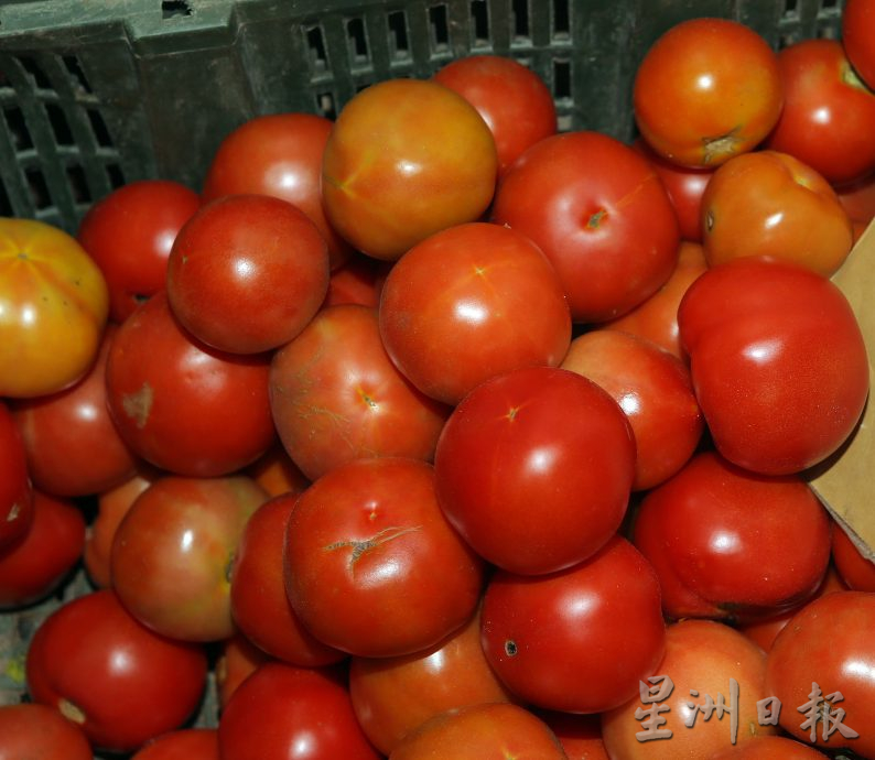 霹：第二版头／番茄丰收平靓正 长豆零售破10元 菜市买气平平