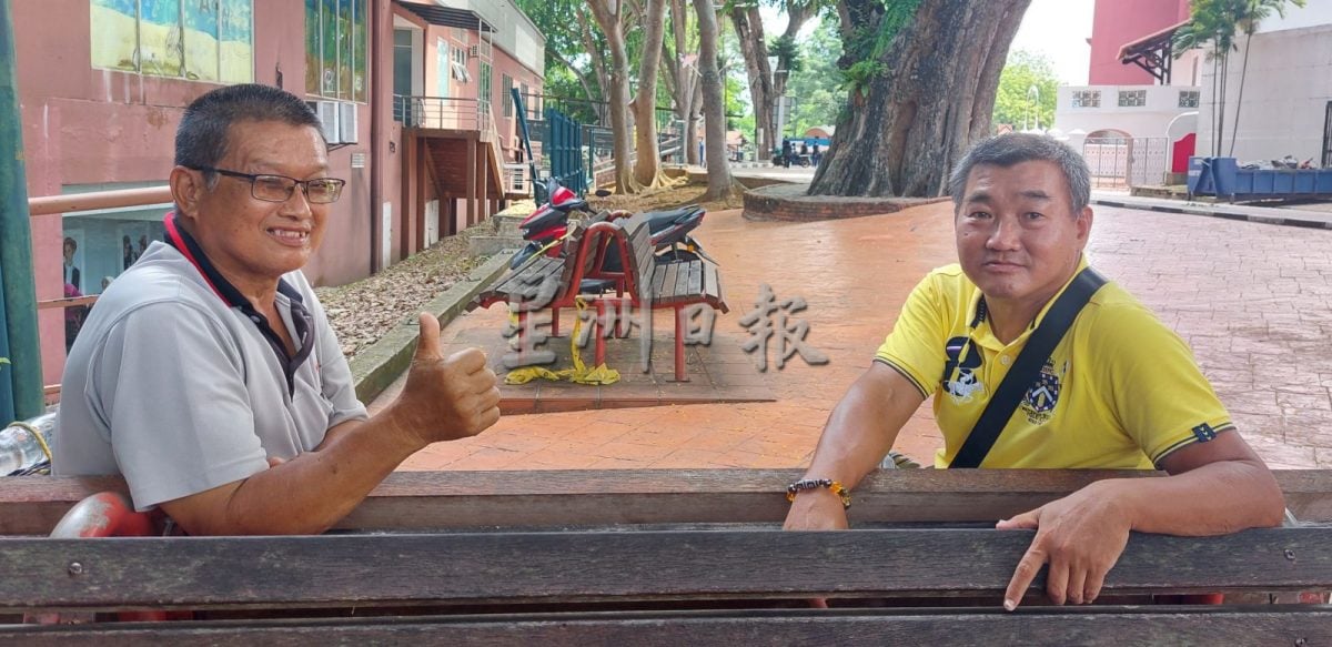 青龙木盛绽小黄花 甲市区美景引人驻足