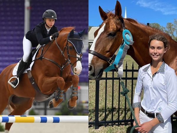 马匹跨栏失败摔倒 年轻女选手惨遭压死