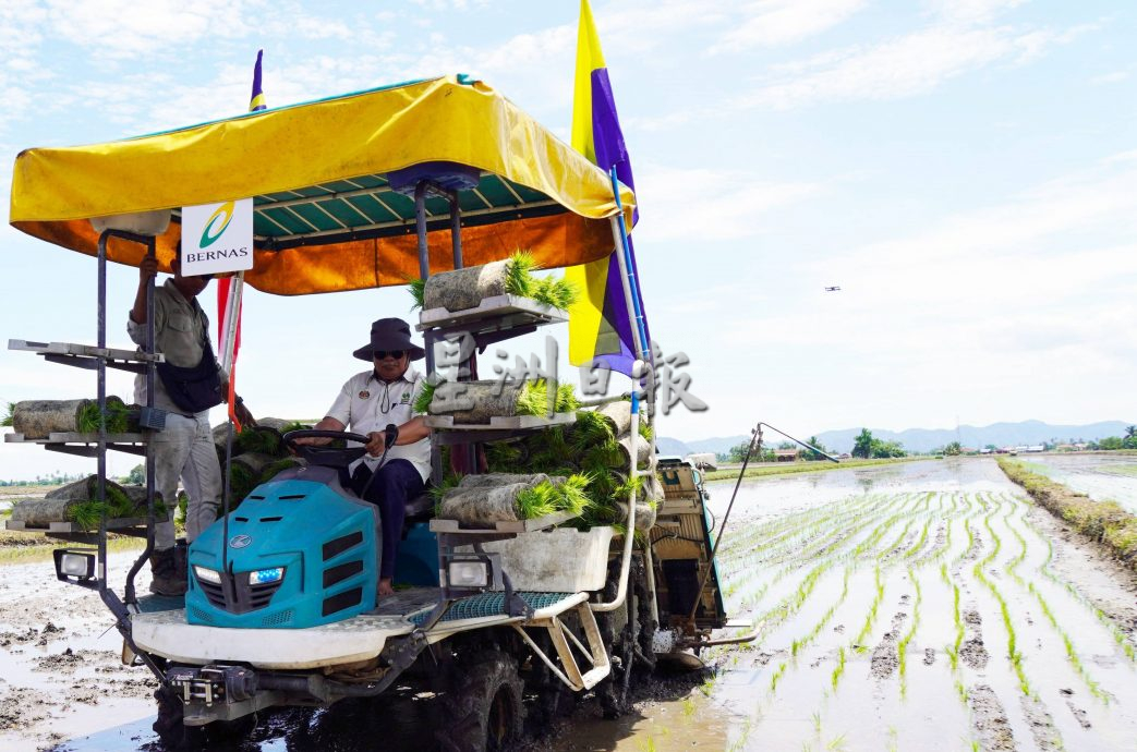 末沙布：政府做好粮食安全应急策略，鉴定粮食供应商及供应国，随时调派粮食供应需求