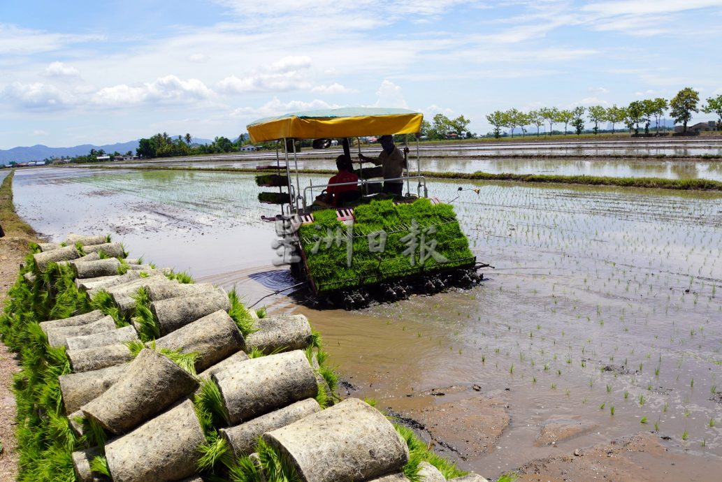 末沙布：政府做好粮食安全应急策略，鉴定粮食供应商及供应国，随时调派粮食供应需求