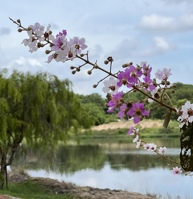 （古城封底主文）《用眼睛去旅游》：双溪布达植树造林沿湖休闲公园