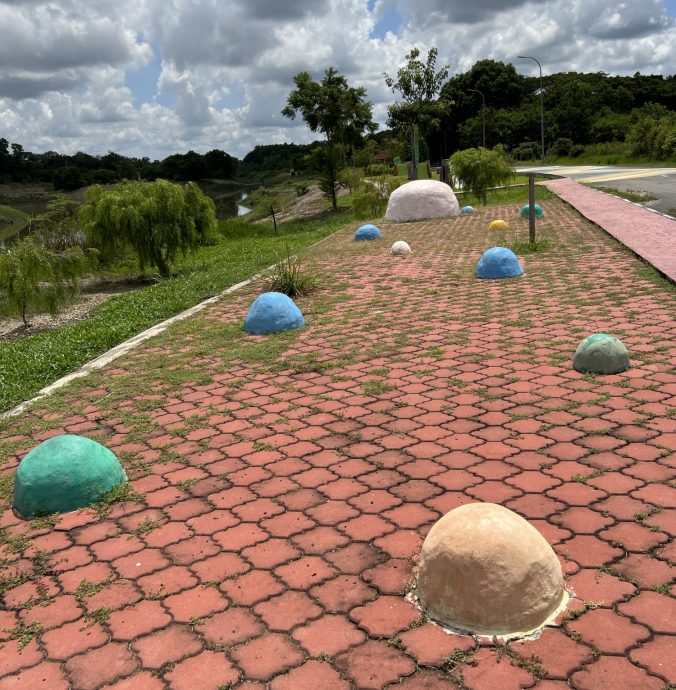 (古城封底主文)《用眼睛去旅游》:双溪布达植树造林沿湖休闲公园