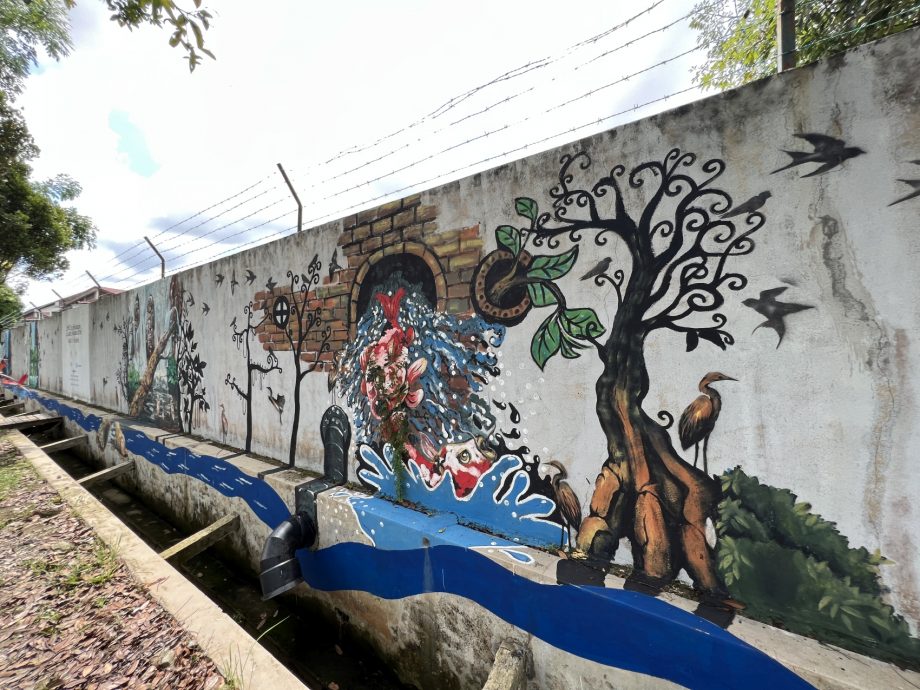 (古城封底主文)《用眼睛去旅游》:双溪布达植树造林沿湖休闲公园
