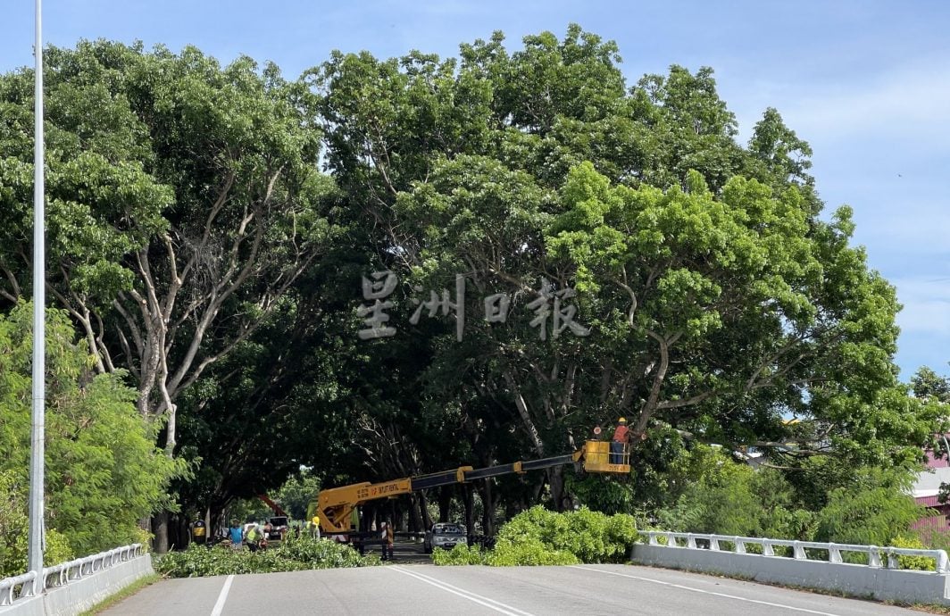 (古城封面主文)“三不管”地带终获关注,阴暗公路亮起来了!