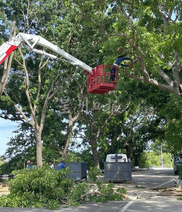 （古城封面主文）“三不管”地带终获关注，阴暗公路亮起来了！
