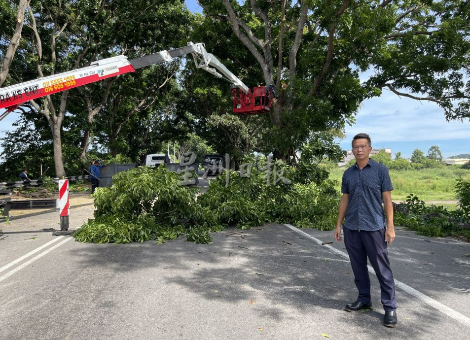 (古城封面主文)“三不管”地带终获关注,阴暗公路亮起来了!