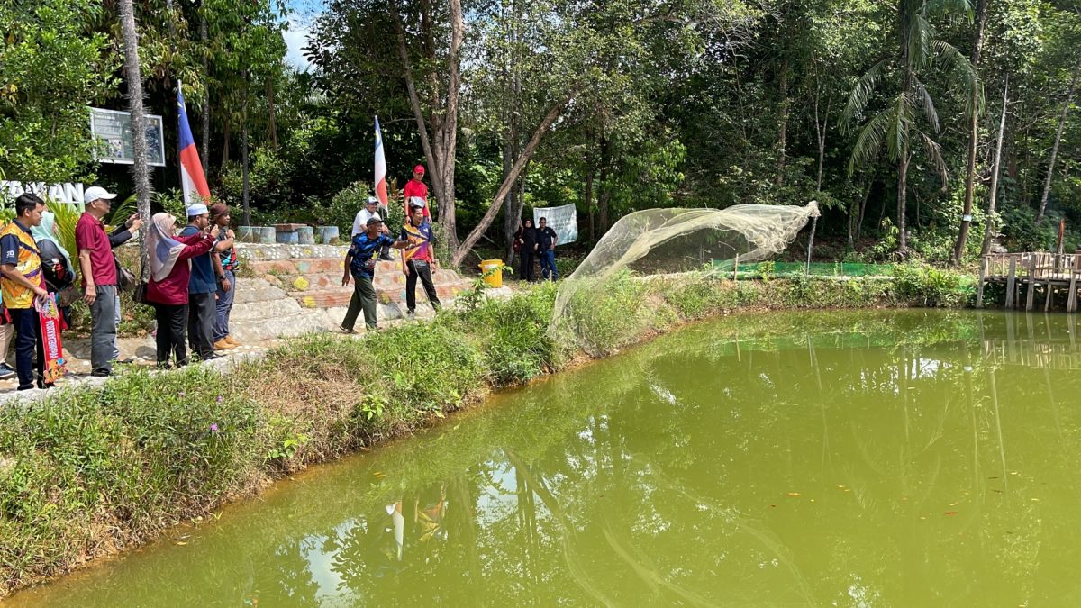 (古城封面主文)巴也叻拔生态旅游·赏鳄鱼吃河蚬大头虾看碳窑