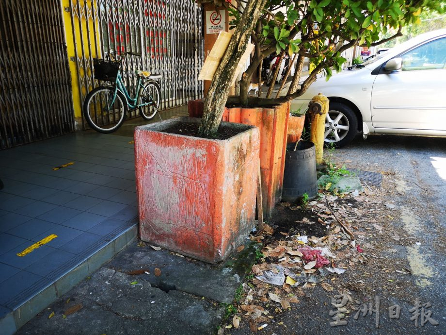 （古城第三版主文）佳林园加沙默迪卡32路一排店屋一排店屋饱受蚊子及苍蝇大军“围攻”