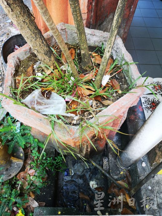 (古城第三版主文)佳林园加沙默迪卡32路一排店屋一排店屋饱受蚊子及苍蝇大军“围攻”