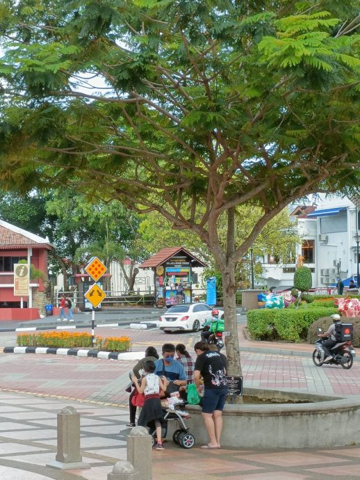 （古城第三版主文）靠近270年老教堂·红屋“斜树”如斜塔 令人生畏