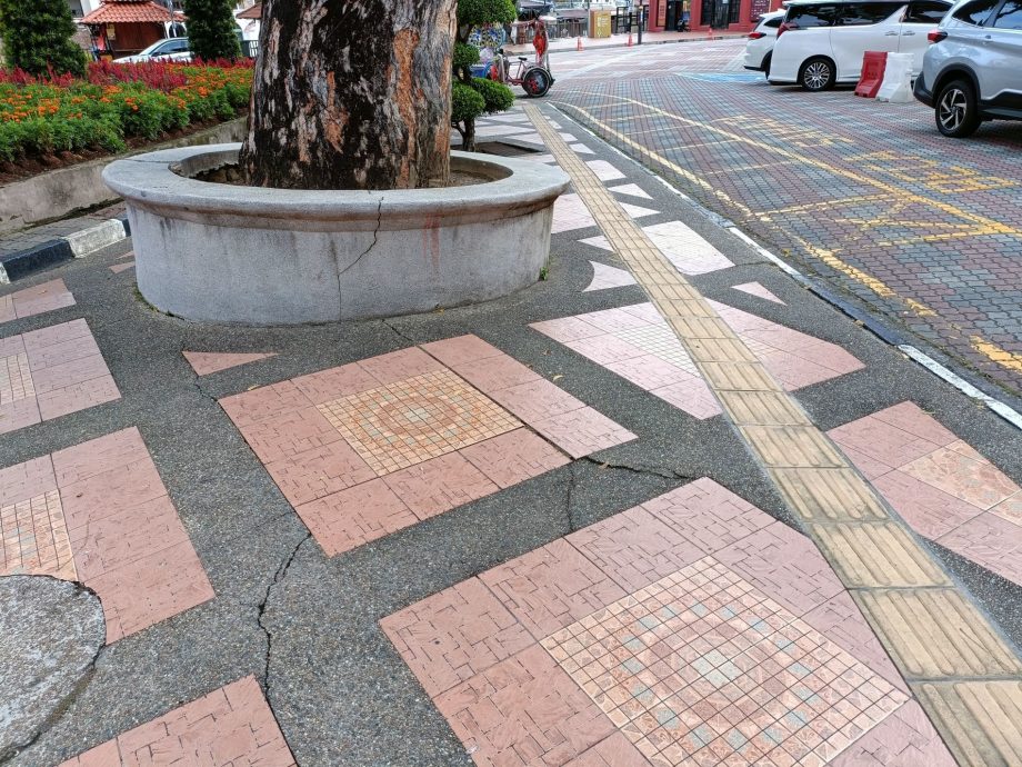 （古城第三版主文）靠近270年老教堂·红屋“斜树”如斜塔 令人生畏