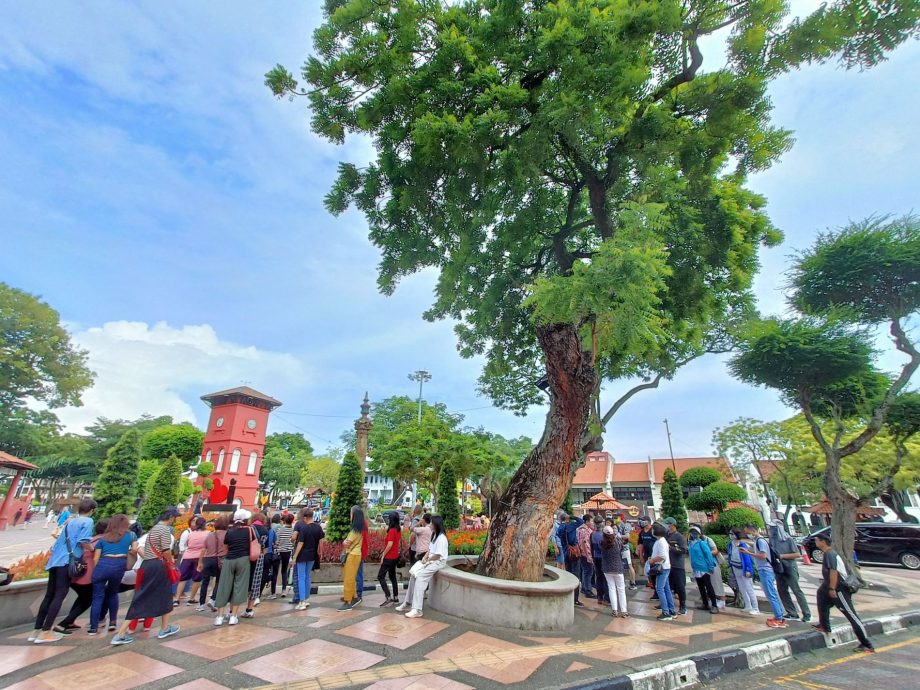 （古城第三版主文）靠近270年老教堂·红屋“斜树”如斜塔 令人生畏