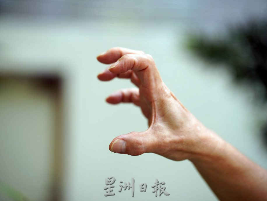 (古城第二版主文)《你动摇了吗》专栏:健身气功易筋经动作舒展,伸筋拔骨,现代年轻人也适合锻炼