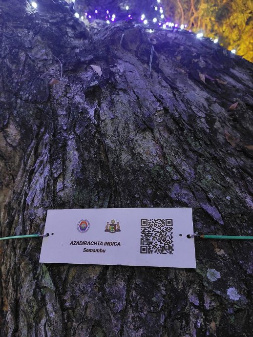 (古城第二版主文)维多利亚喷泉周围大树设二维码