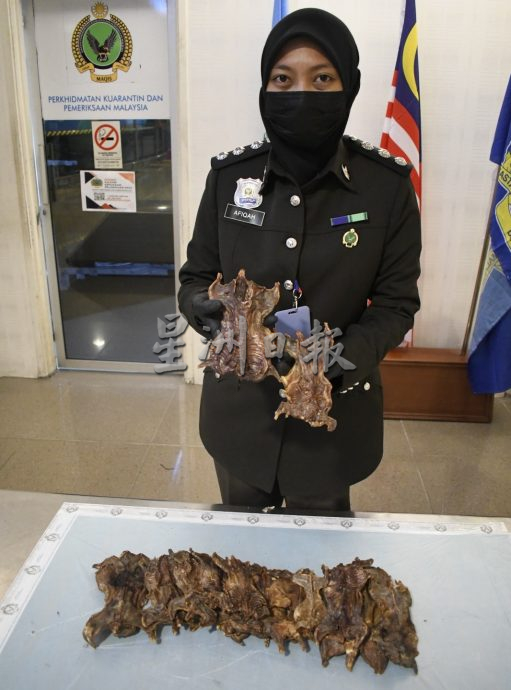 (大北马)大马检疫及检验局槟州分局起获10公斤老鼠干