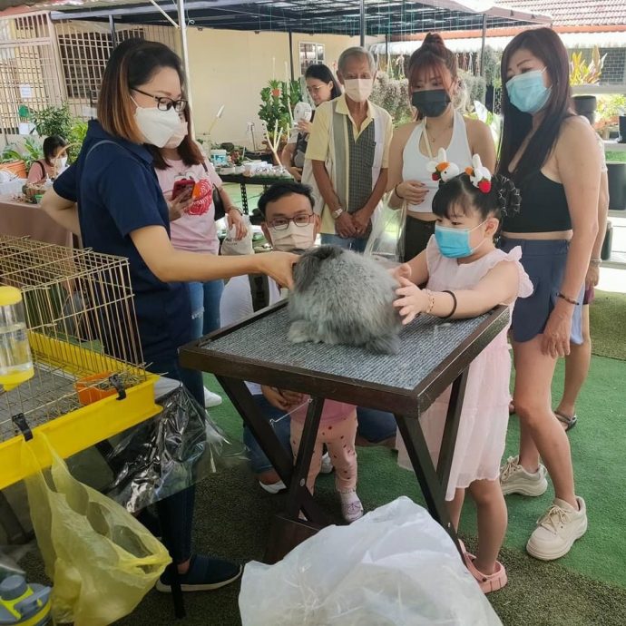 (大北马)小小企业家市集