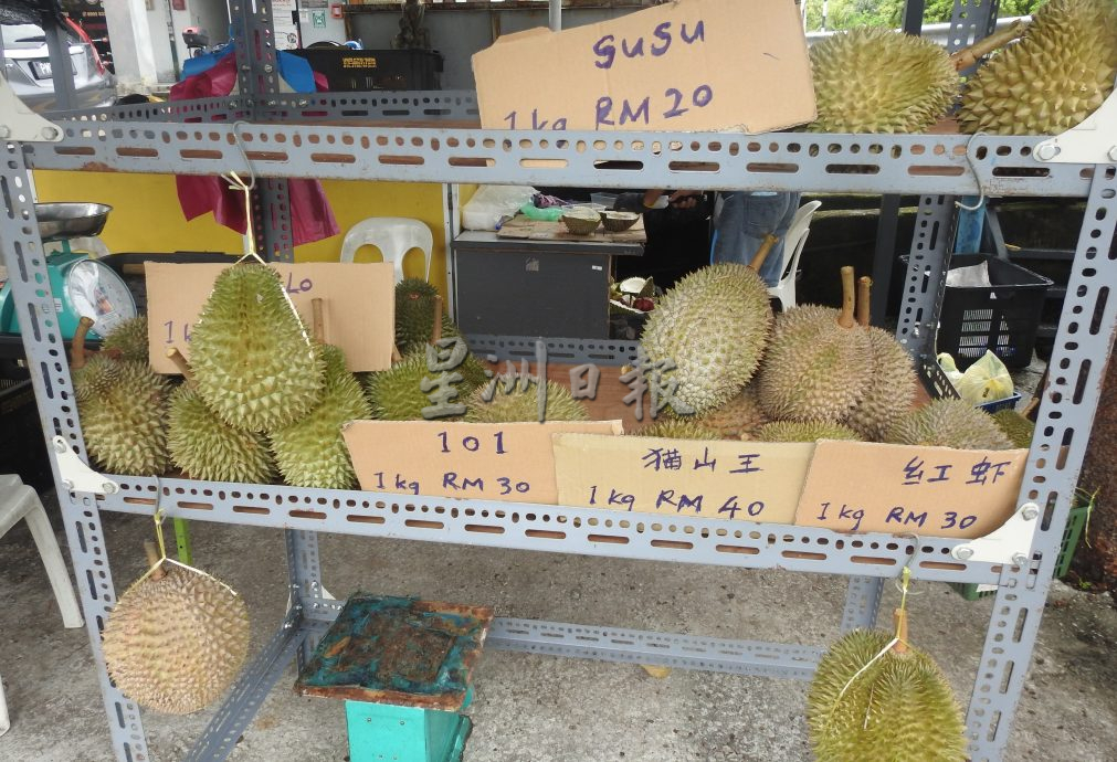 (大北马)槟城榴梿大跌,供应大增价格不能拔高,猫山王1公斤40令吉