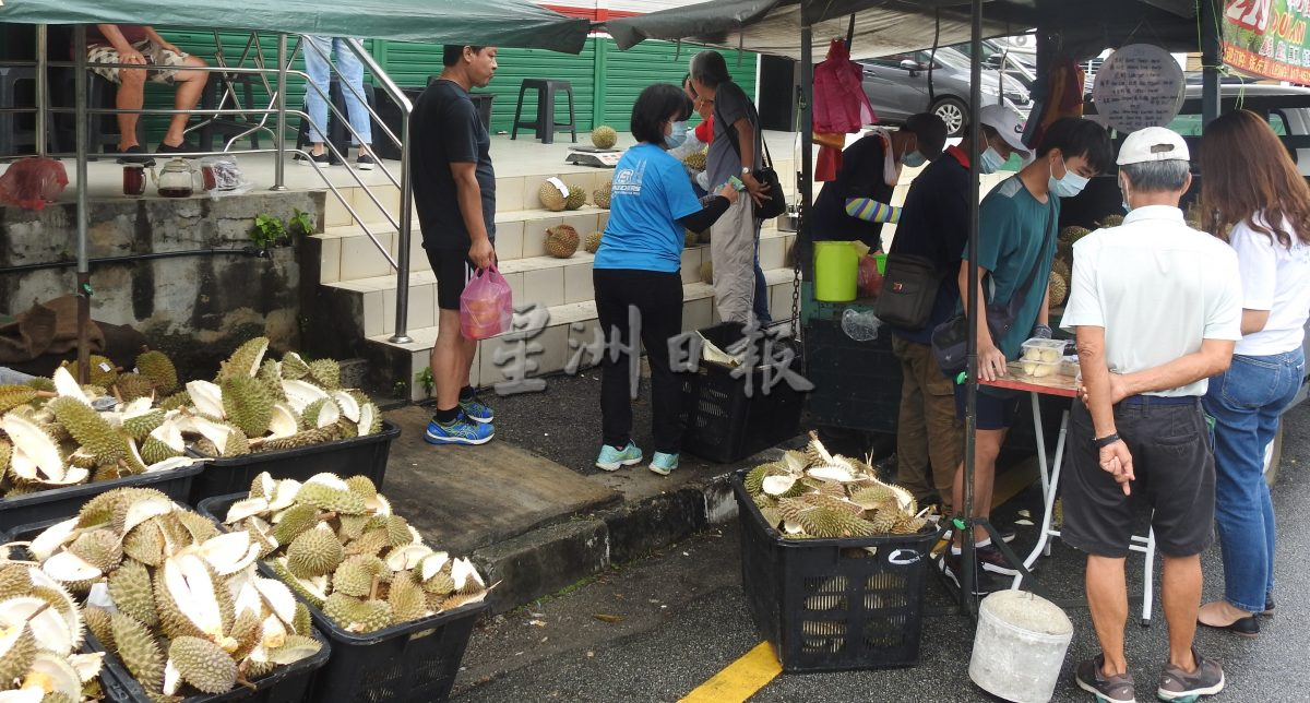 (大北马)槟城榴梿大跌,供应大增价格不能拔高,猫山王1公斤40令吉