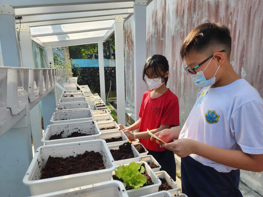 细述华小:班台亚齐振华小学