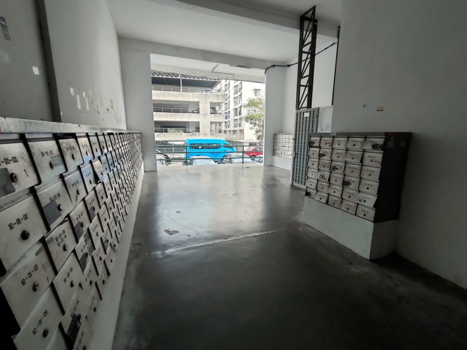 (大北馬)雅樂美家花園蛻變 多項提升工程展開
