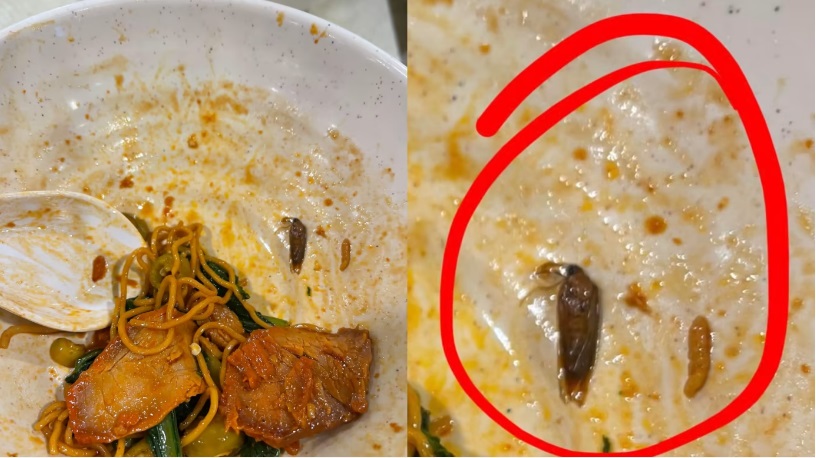 (已签发)柔:狮城二三事:发现云吞面里有蟑螂 “摊贩反指我妈放的”